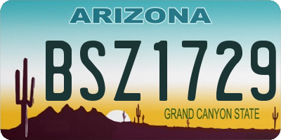 AZ license plate BSZ1729