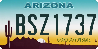 AZ license plate BSZ1737