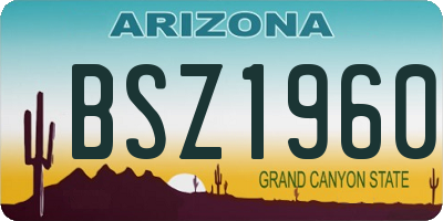 AZ license plate BSZ1960