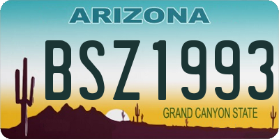 AZ license plate BSZ1993