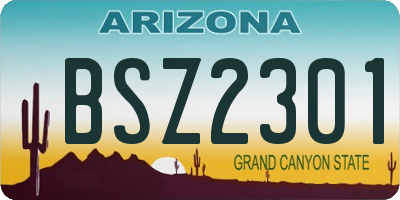 AZ license plate BSZ2301