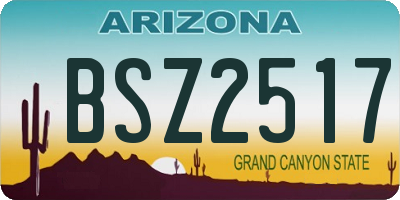 AZ license plate BSZ2517