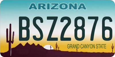 AZ license plate BSZ2876