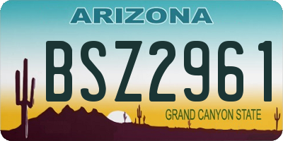 AZ license plate BSZ2961