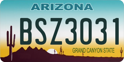 AZ license plate BSZ3031