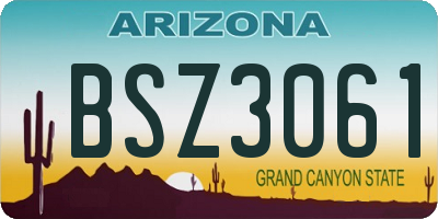 AZ license plate BSZ3061