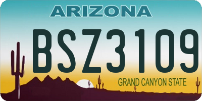 AZ license plate BSZ3109