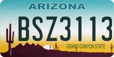 AZ license plate BSZ3113