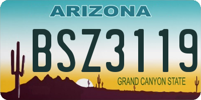 AZ license plate BSZ3119