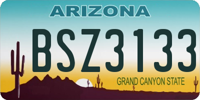 AZ license plate BSZ3133