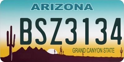 AZ license plate BSZ3134