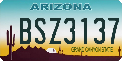 AZ license plate BSZ3137