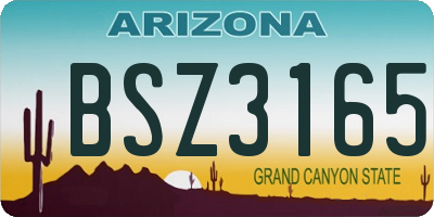 AZ license plate BSZ3165