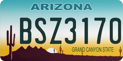 AZ license plate BSZ3170