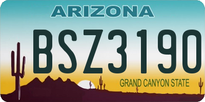 AZ license plate BSZ3190