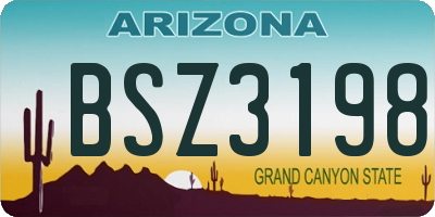 AZ license plate BSZ3198