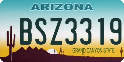 AZ license plate BSZ3319