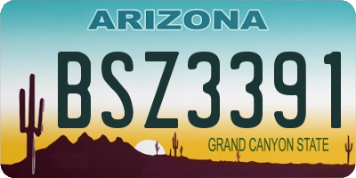 AZ license plate BSZ3391