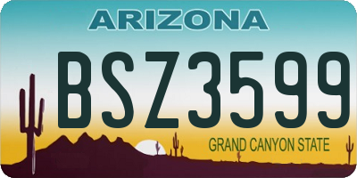 AZ license plate BSZ3599