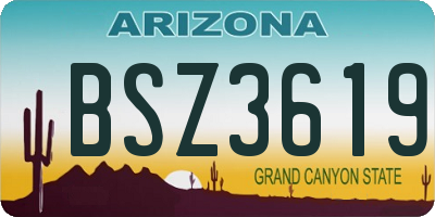 AZ license plate BSZ3619