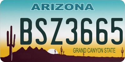 AZ license plate BSZ3665