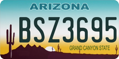 AZ license plate BSZ3695