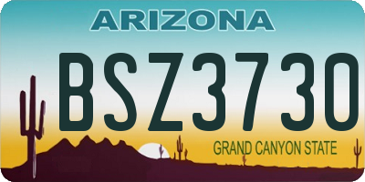 AZ license plate BSZ3730