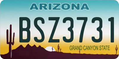 AZ license plate BSZ3731