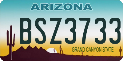 AZ license plate BSZ3733