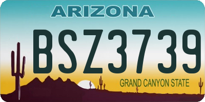 AZ license plate BSZ3739