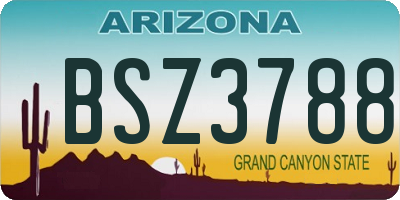 AZ license plate BSZ3788