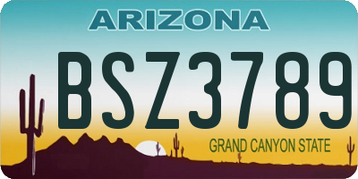 AZ license plate BSZ3789