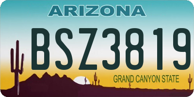 AZ license plate BSZ3819