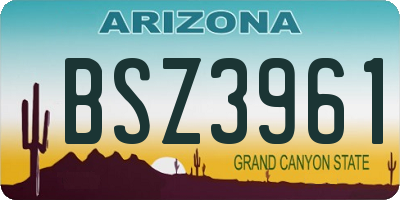 AZ license plate BSZ3961