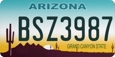 AZ license plate BSZ3987