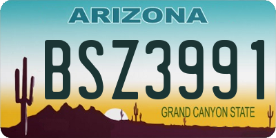 AZ license plate BSZ3991