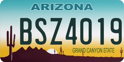 AZ license plate BSZ4019