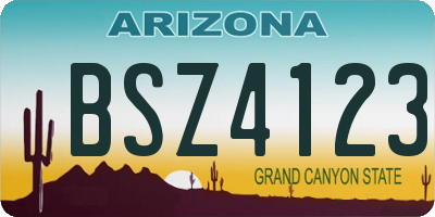 AZ license plate BSZ4123