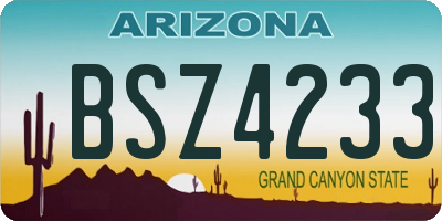 AZ license plate BSZ4233
