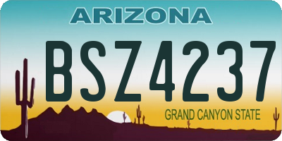 AZ license plate BSZ4237