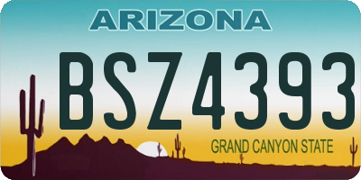 AZ license plate BSZ4393