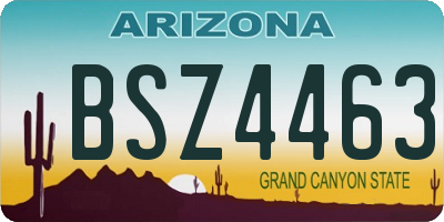 AZ license plate BSZ4463