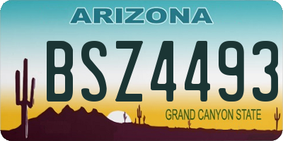 AZ license plate BSZ4493