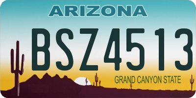 AZ license plate BSZ4513