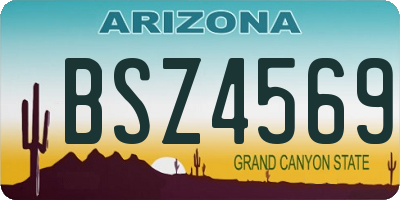 AZ license plate BSZ4569