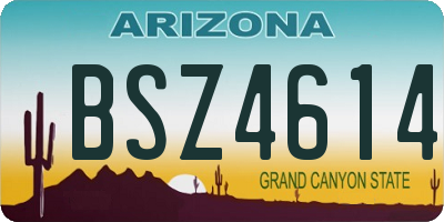 AZ license plate BSZ4614