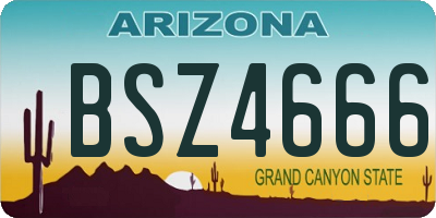 AZ license plate BSZ4666