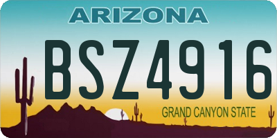 AZ license plate BSZ4916