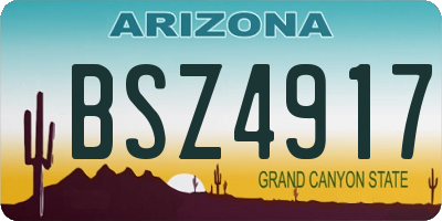 AZ license plate BSZ4917