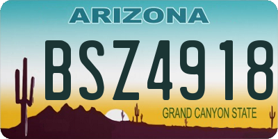 AZ license plate BSZ4918